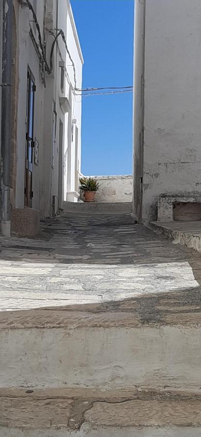 Che Vista!! Ostuni ,Sulle Bianche Mura Con Vista Mozzafiato Exterior photo